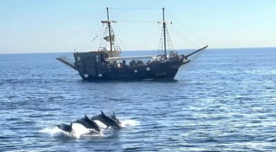 Vrsar: Dolphin Watching Boat Ride - The Cruise Route: Enjoy the Coast While You Search for Dolphins