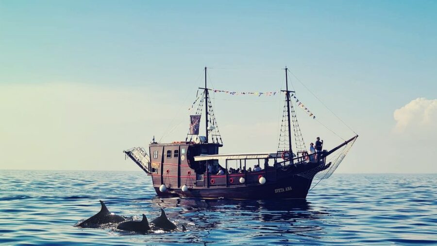 Vrsar: Dolphin Watching Boat Ride - Practical Tips Before You Go