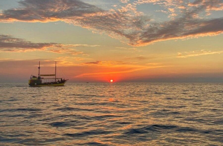Vrsar: Dolphin Watching Boat Tour including Drinks - Key things to know before you go