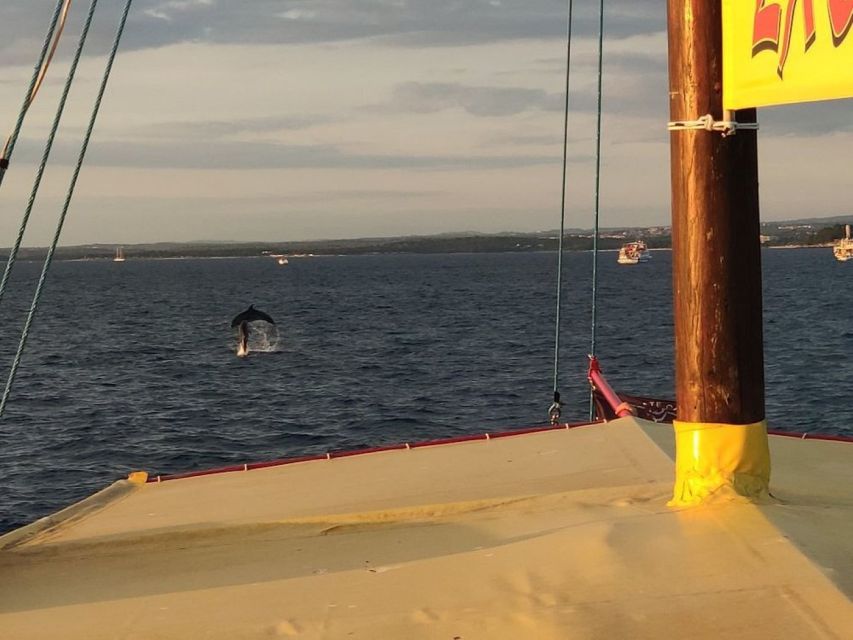 Vrsar: Dolphin Watching Boat Tour including Drinks - Comfort and space: what you’ll feel on the water