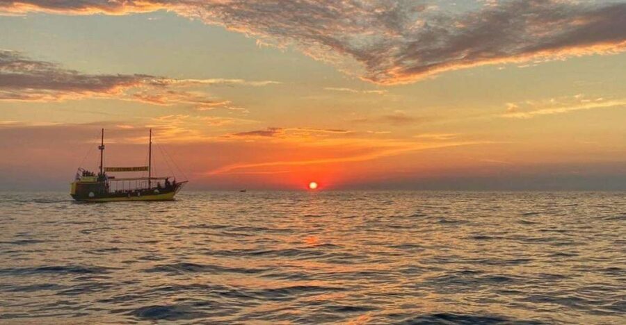 Vrsar: Dolphin Watching Boat Tour including Drinks - Who This Dolphin Watching Tour Fits Best