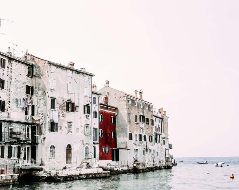 VRSAR: Night Boat Tour to Rovinj with Dolphin Watching - Dolphin watching in the Rovinj Archipelago: what to expect for that hour