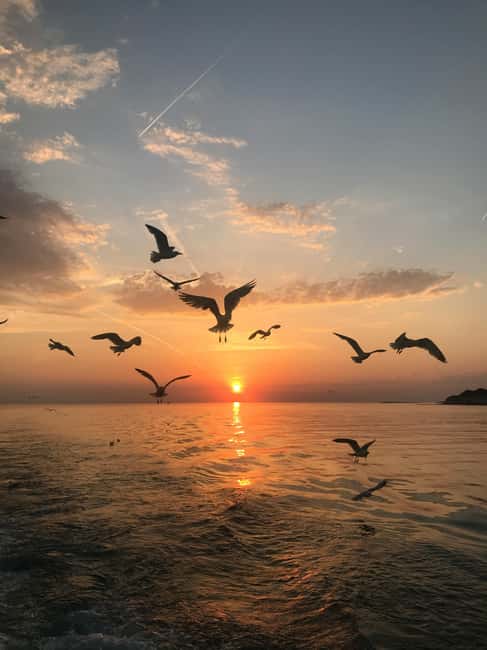 VRSAR: Night Boat Tour to Rovinj with Dolphin Watching - Practical tips: camera, clothes, and avoiding an unpleasant surprise