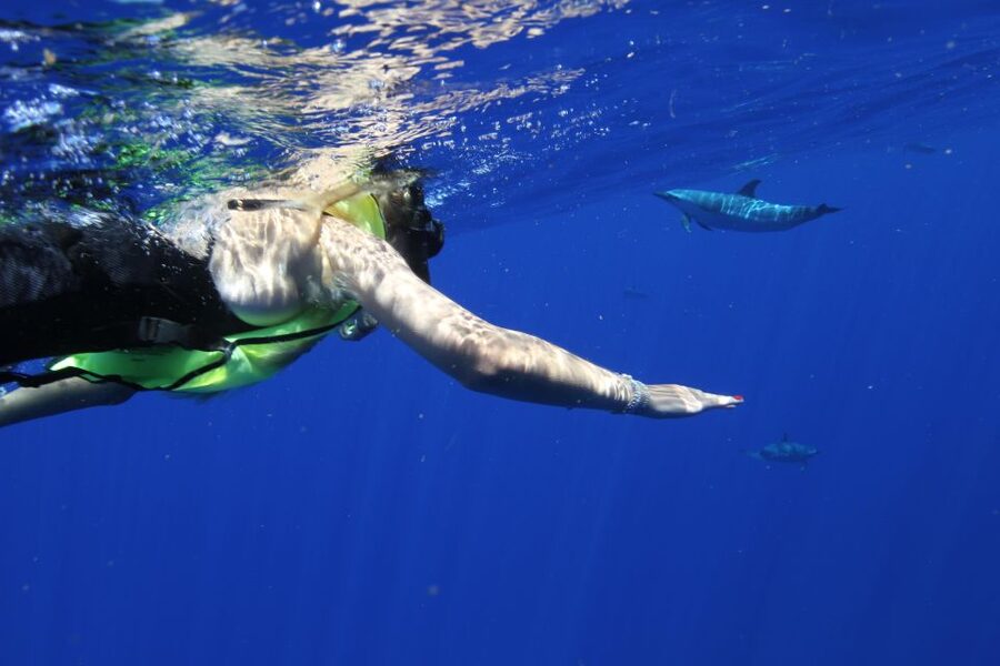 Waianae, Oahu: Swim with Dolphins (Semi-Private Boat Tour) - Boat power that actually helps your chances