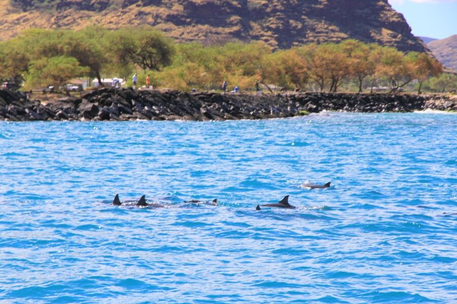 Waianae, Oahu: Swim with Dolphins (Semi-Private Boat Tour) - Snorkel gear, restroom, and coolers: the comfort details that matter
