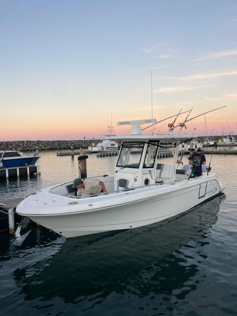 Waianae, Oahu: Swim with Dolphins (Semi-Private Boat Tour) - Wildlife you can realistically plan for: dolphins, turtles, reef fish