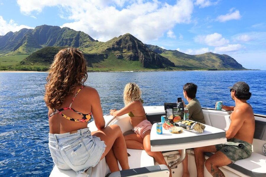 Waianae, Oahu: Swim with Dolphins (Semi-Private Boat Tour) - Who this tour suits best