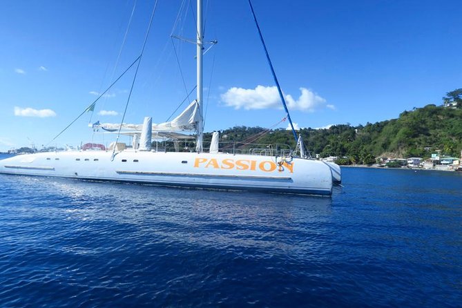 Waitukubuli Dolphin and Whale Watch in Dominica - Your onboard instructors: marine narration with Capt. Beanz and the team