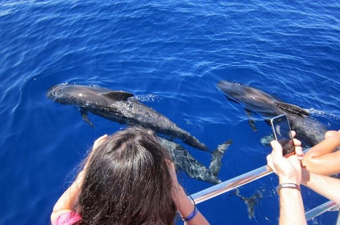 Waitukubuli Dolphin and Whale Watch in Dominica - Hydrophone moments: listening to whale songs while you hunt