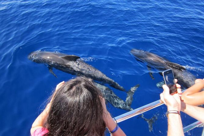 Waitukubuli Dolphin and Whale Watch in Dominica - Rum punch, sodas, and hydration you’ll actually use