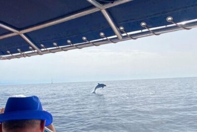 Walk and dolphin watching in Fuengirola + 1 drink - Skipper Spotting Talk: Making Your Eye Smarter