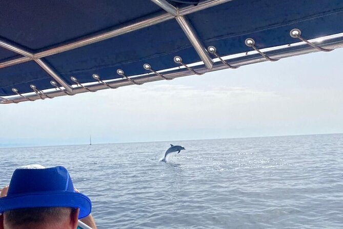Walk and dolphin watching in Fuengirola + 1 drink - Skipper Spotting Talk: Making Your Eye Smarter