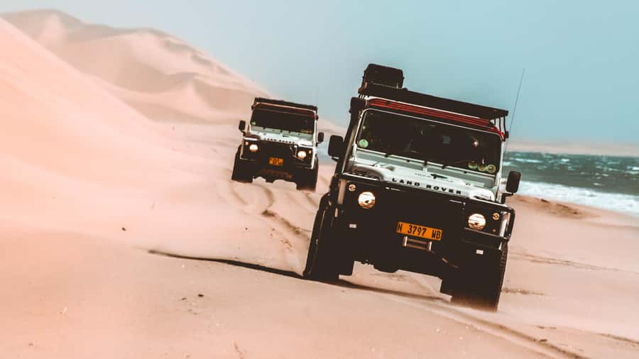 Walvis Bay: Dolphin Cruise, Pink Lakes and 4x4 Dune Drive - Key things that make this day work