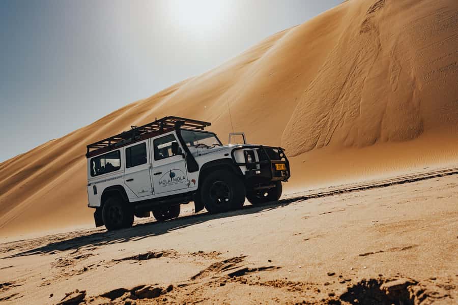 Walvis Bay: Dolphin Cruise, Pink Lakes and 4x4 Dune Drive - Pelican Point and oyster-farm stops: where the day turns from sea to spectacle