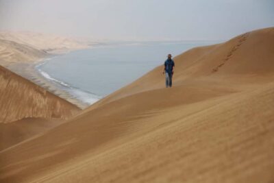 Walvis Bay: Dolphin Cruise, Pink Lakes and 4x4 Dune Drive - On the planing catamaran: dolphins, pelicans, and a brunch with oysters