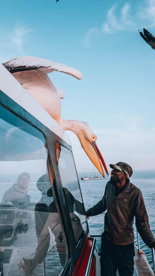 Walvis Bay: Dolphin Cruise, Pink Lakes and 4x4 Dune Drive - Food, drinks, and the little extras that make it feel special