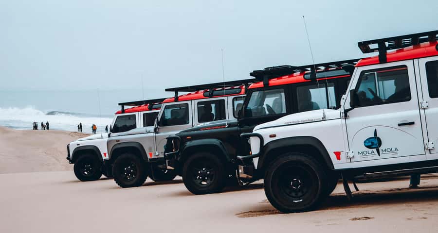 Walvis Bay: Dolphin Cruise, Pink Lakes and 4x4 Dune Drive - Price and value: does $385 make sense?