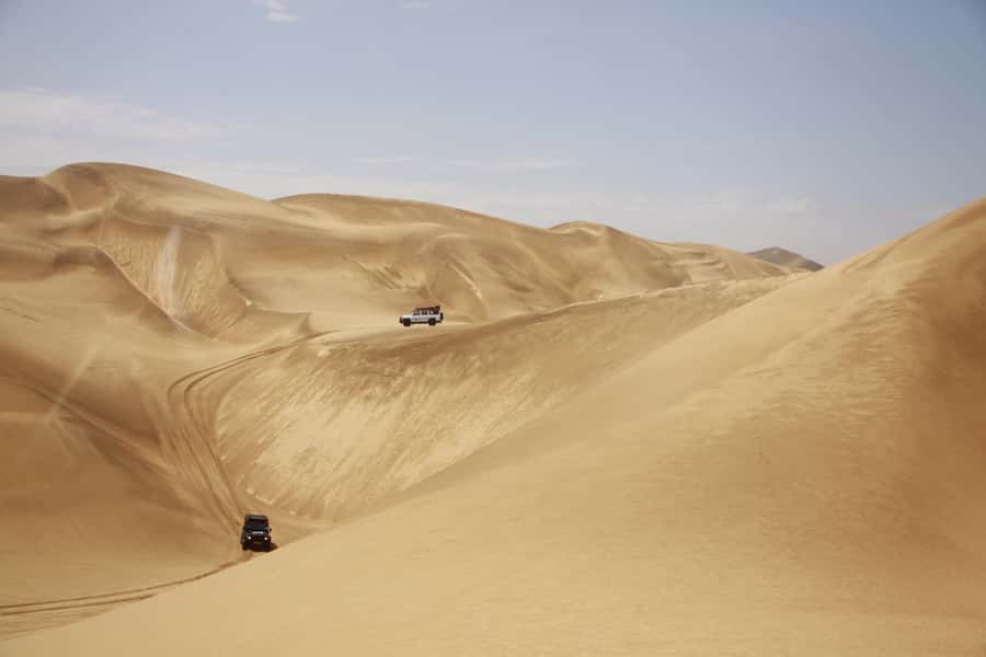 Walvis Bay: Dolphin Cruise, Pink Lakes and 4x4 Dune Drive - Who this Walvis Bay Marine Dune Day is best for
