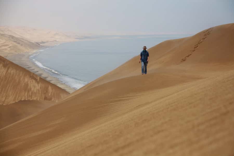 Walvis Bay: Dolphin Cruise, Pink Lakes and 4x4 Dune Drive - On the planing catamaran: dolphins, pelicans, and a brunch with oysters