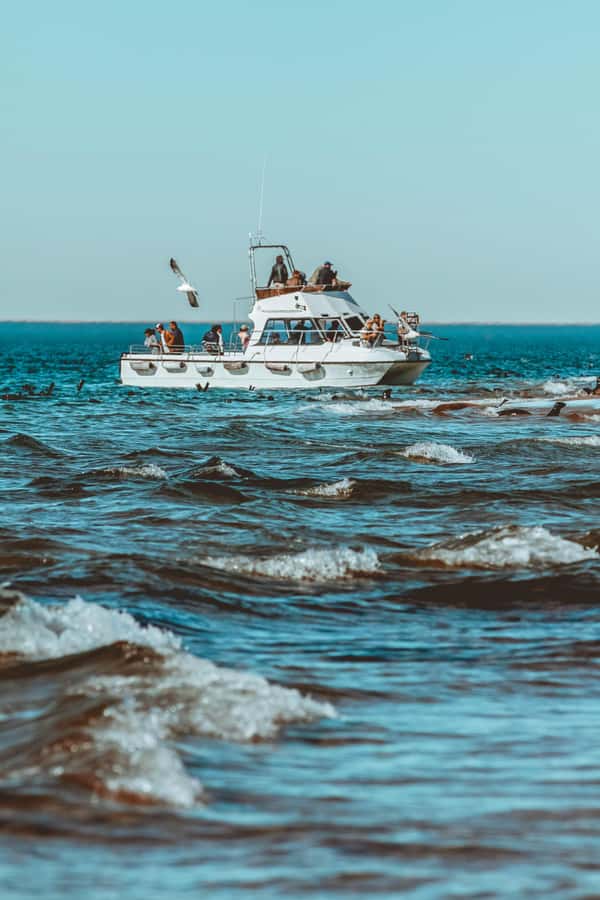 Walvis Bay: Namibian Coast Dolphin Cruise with Light Lunch - Why This Walvis Bay Coast Dolphin Cruise Feels Worth the Trip