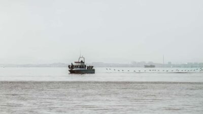Walvis Bay: Namibian Coast Dolphin Cruise with Light Lunch - Getting There: Meet at Walvis Bay Waterfront, Next to Anchors