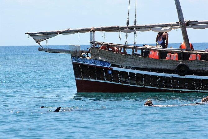 Wasini Dolphin Snorkeling - Who should book this tour, and who should skip it
