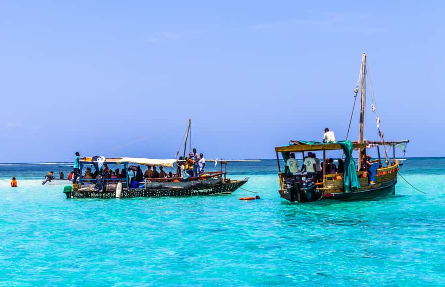 Wasini Island: Dolphin Spotting & Snorkel at Kisite Mpunguti - Key points before you go