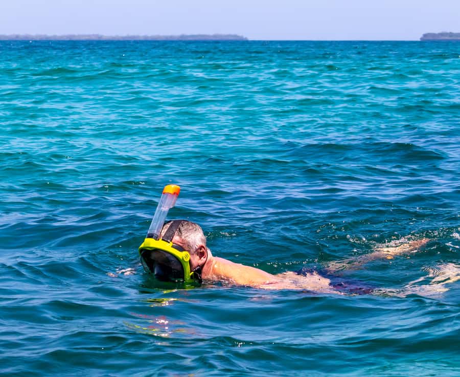 Wasini Island: Dolphin Spotting & Snorkel at Kisite Mpunguti - Should you book this Wasini and Kisite day trip?