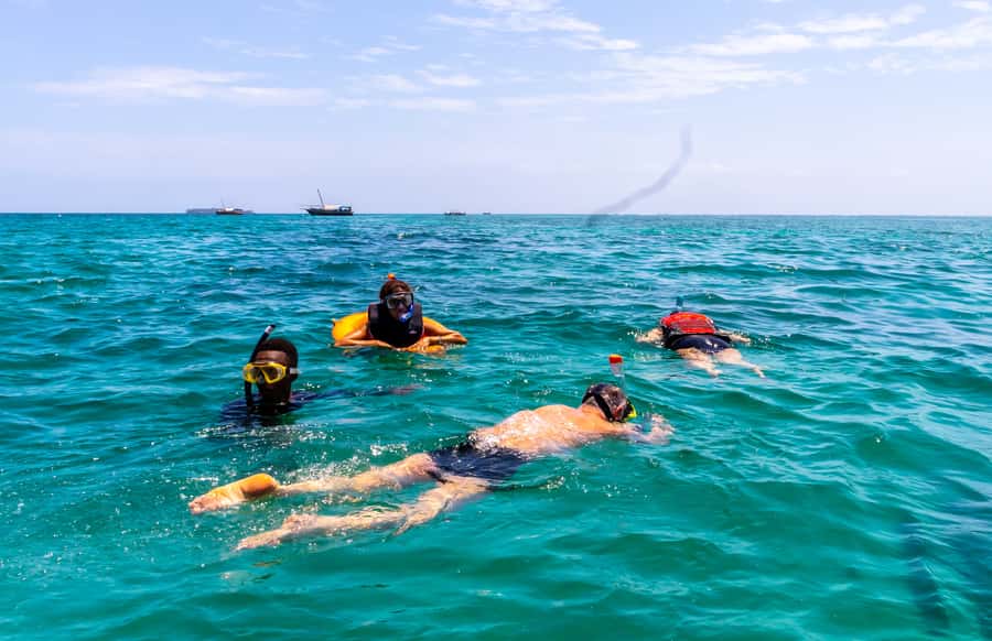 Wasini Island: Dolphin Spotting & Snorkel at Kisite Mpunguti - Dhow cruise to Kisite Mpunguti: where the dolphins come into play