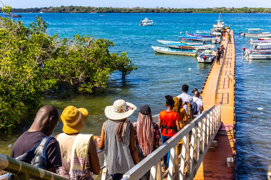 Wasini Island: Dolphin Spotting & Snorkel at Kisite Mpunguti - Getting there without losing your day: timing, transfers, and small surprises