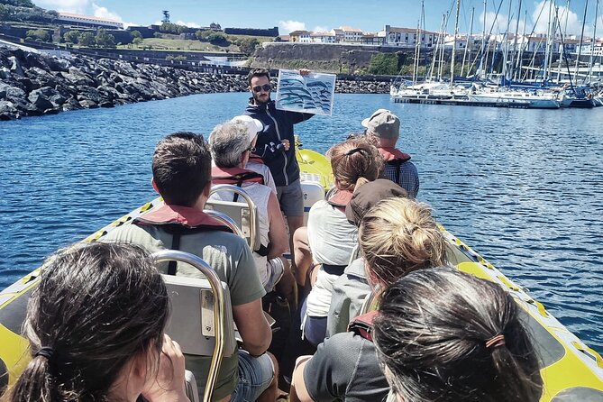 Watching whales and dolphins on Terceira Island - Meeting Point and the 8:30 start at Water4fun