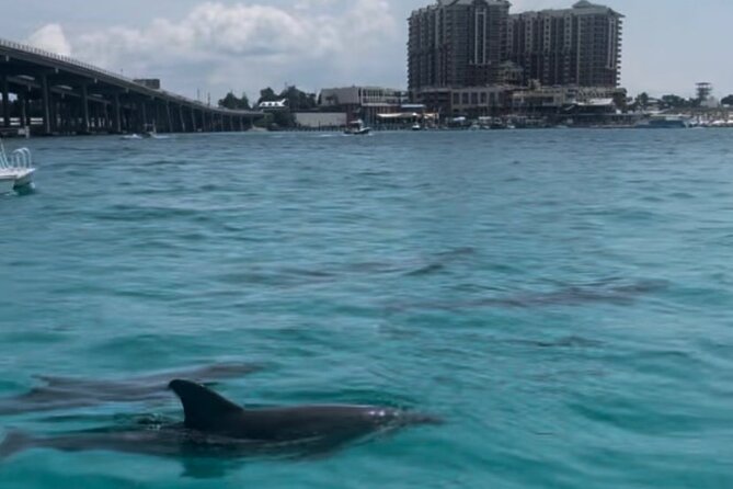 Waverunner Dolphin Tour - What to bring: sunscreen, a towel, and keeping valuables safe