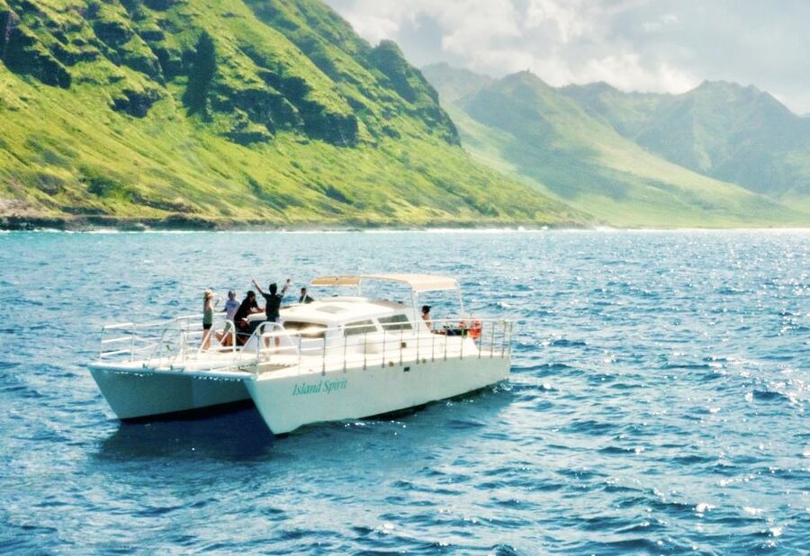 West O'ahu: Dolphin Watching and Snorkeling Catamaran Cruise - Quick hits: what makes this West O’ahu catamaran cruise special