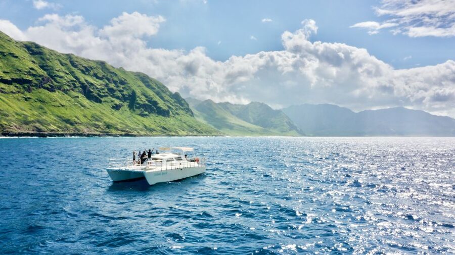 West O'ahu: Swim with Dolphins Catamaran Cruise - The dolphin hunt: what you can actually see on West O’ahu waters