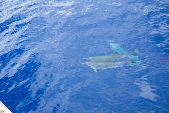 West Oahu Afternoon Turtle Snorkel Sail - Premium bar and onboard comfort: the kind of extra that makes the cost feel fair