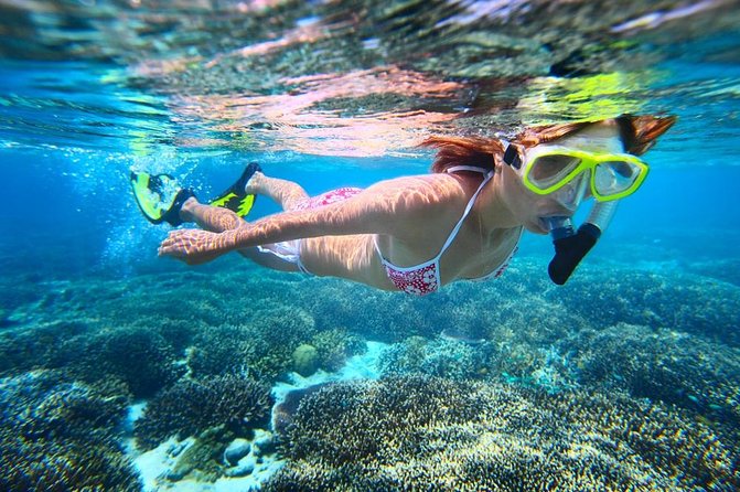 West Oahu Dolphin Watch and Snorkel Sail with Lunch - Lunch, drinks, and the small details that make it feel worth it