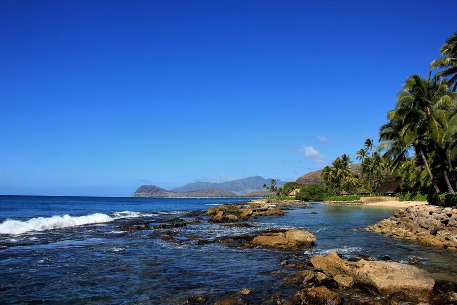 West Oahu: Dolphin Watch & Snorkel Sail - Riding the Water: Sailing Catamaran vs Power Catamaran