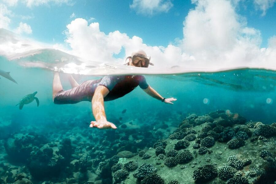 West Oahu: Turtles, Dolphins, and Snorkeling Tour with Lunch - Who this tour fits best