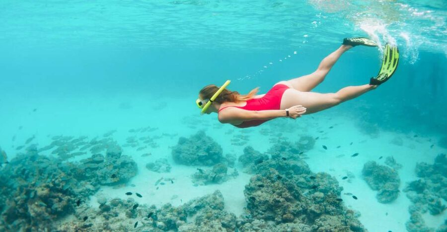 West Oahu: Turtles, Dolphins, and Snorkeling Tour with Lunch - Where the trip starts: Wai‘anae Small Boat Harbor in plain terms