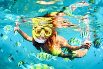 West Oahu: Turtles, Dolphins, and Snorkeling Tour with Lunch - The catamaran dolphin cruise: what guaranteed sightings really changes