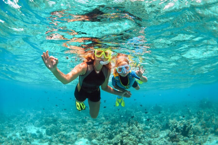 West Oahu: Turtles, Dolphins, and Snorkeling Tour with Lunch - Drinks and lunch: the part people don’t remember until they’re back on shore