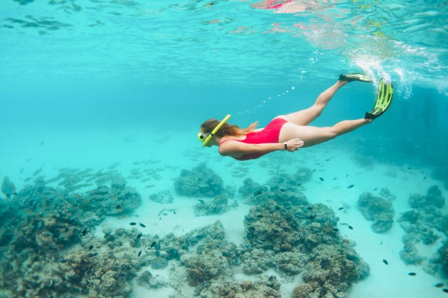 West Oahu: Turtles, Dolphins, and Snorkeling Tour with Lunch - Crew energy and safety: why names keep coming up