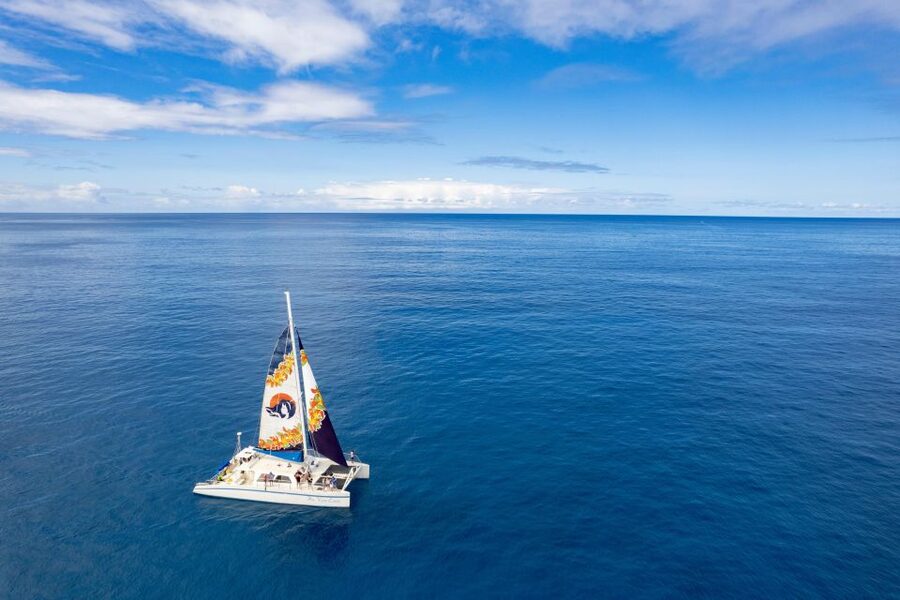 West Oahu: Turtles, Dolphins, and Snorkeling Tour with Lunch - What to bring (and what you can probably skip)