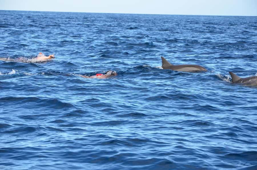 West: Swim wz dolphins, Crystal Rock, Lunch Benitiers island - Crystal Rock: A Volcanic Sea Stop for Photos and Optional Fun