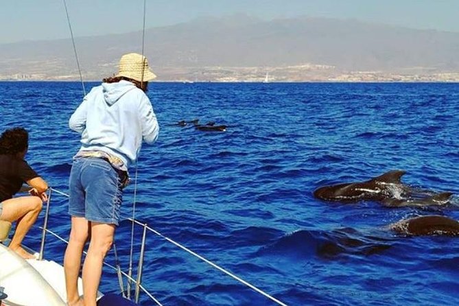 Whale and Dolphin Small Group Sailing from Tenerife South - Whale and dolphin sailing from Puerto Colón: small-group comfort that pays off
