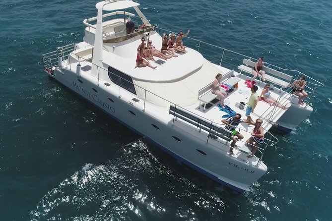 Whale and Dolphin Watching Catamaran with Transfer and Buffet - Key highlights at a glance