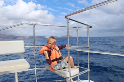 Whale and Dolphin Watching Catamaran with Transfer and Buffet - The cetacean search: how whale and dolphin time usually works