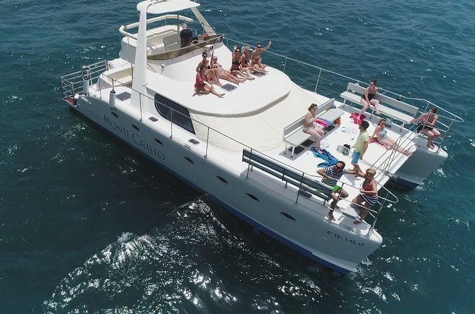 Whale and Dolphin Watching Catamaran with Transfer and Buffet - Transfer and meeting point reality: when pickup helps (and when it doesn’t)