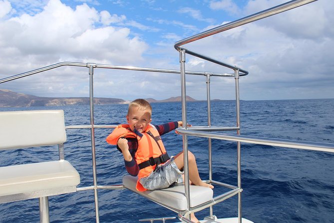 Whale and Dolphin Watching Catamaran with Transfer and Buffet - The cetacean search: how whale and dolphin time usually works