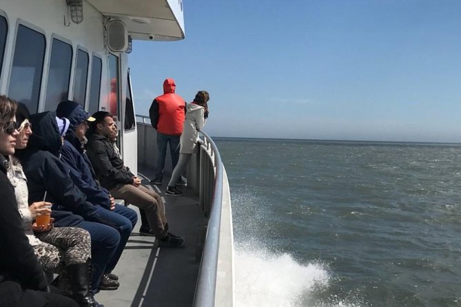 Whale and Dolphin Watching Cruise from Cape May - Comfort and Sea-Sickness Prep: Small Things That Save the Day
